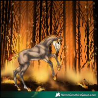 Horse Color:Amber Champagne