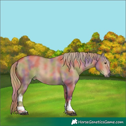 Horse Color:Nacre White Spotted Red Dun 
