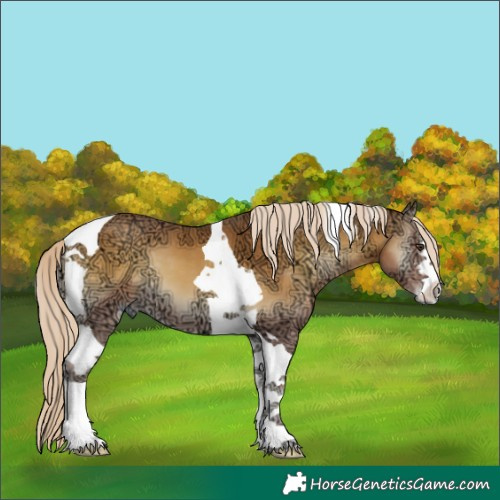 Horse Color:White Spotted Palomino Ice Onyx Tobiano 