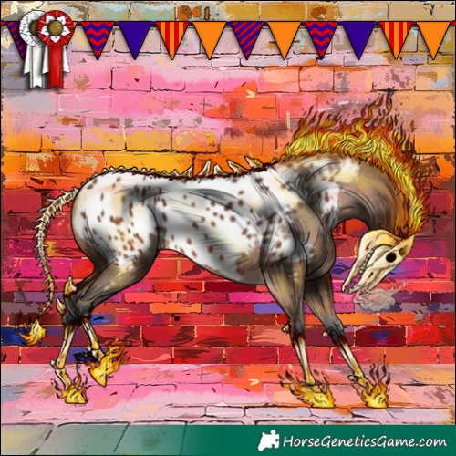 Horse Color:Bay Appaloosa