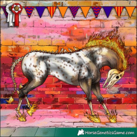 Horse Color:Bay Appaloosa 