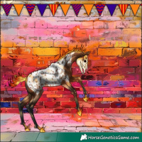 Horse Color:Bay Appaloosa 