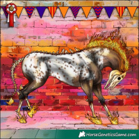 Horse Color:Bay Appaloosa
