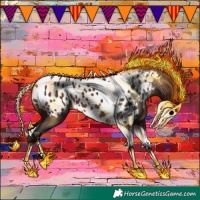 Horse Color:Brown Tobiano Appaloosa