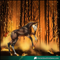 Horse Color:Brown Tobiano 