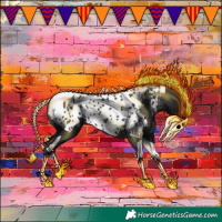 Horse Color:Black Tobiano Appaloosa