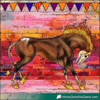 Horse Color:Bay Tobiano Appaloosa