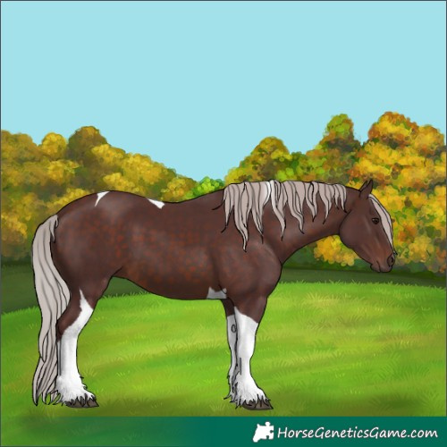 Horse Color:Chocolate Silver Brown Tobiano 
