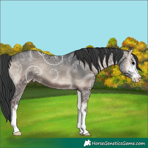 Horse Color:Blue Onyx Ice Sabino 