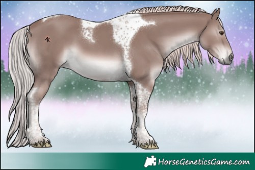 Horse Color:Platinum Chestnut Tobiano 