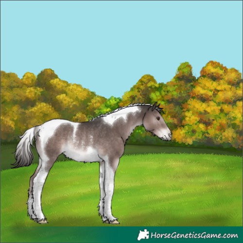 Horse Color:Platinum Liver Chestnut Tobiano Rabicano