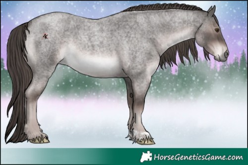 Horse Color:Platinum Liver Red Roan 