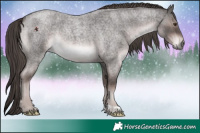 Horse Color:Platinum Liver Red Roan 