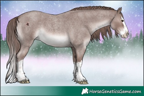 Horse Color:Platinum Red Roan Splash 