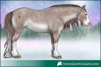 Horse Color:Platinum Red Roan Splash 