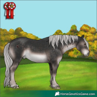 Horse Color:Platinum Liver Chestnut 