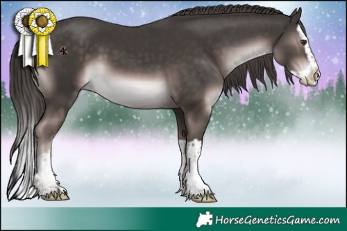 Horse Color:Platinum Liver Chestnut Splash 