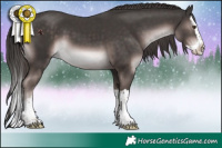 Horse Color:Platinum Liver Chestnut Splash