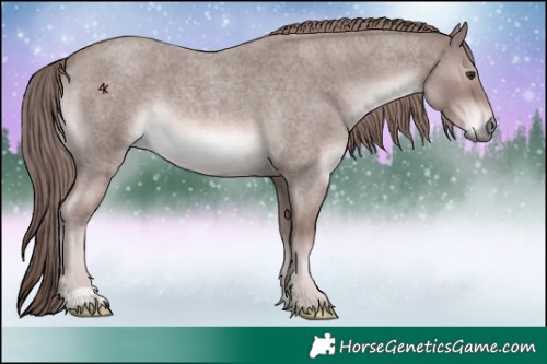 Horse Color:Platinum Red Roan 