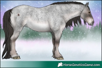 Horse Color:Platinum Liver Red Roan 