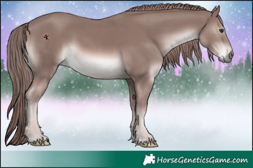 Horse Color:Platinum Chestnut 