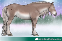 Horse Color:Platinum Chestnut