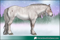Horse Color:Platinum Red Roan 