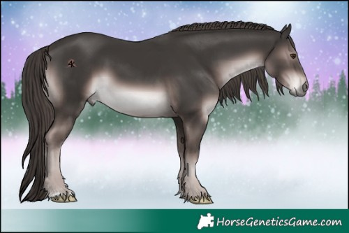 Horse Color:Platinum Liver Chestnut 