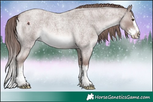 Horse Color:Platinum Red Roan Splash 
