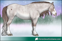 Horse Color:Platinum Red Roan Splash