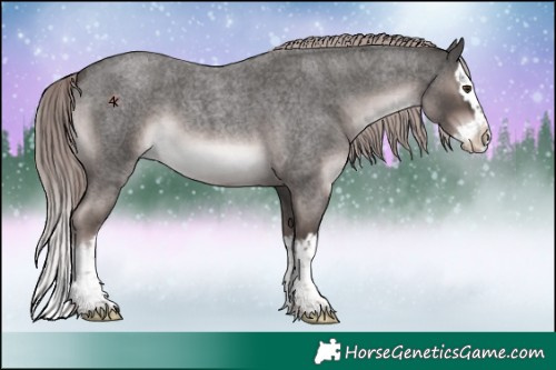 Horse Color:Platinum Liver Red Roan Splash 