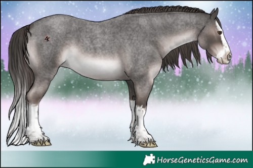Horse Color:Platinum Liver Red Roan Splash 