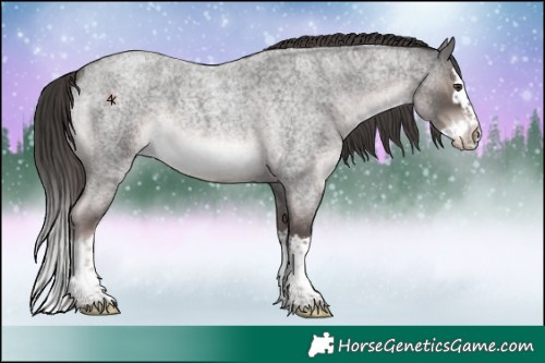 Horse Color:Platinum Liver Red Roan Splash