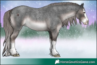Horse Color:Platinum Liver Red Roan Splash