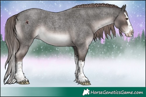 Horse Color:Platinum Liver Red Roan Splash 