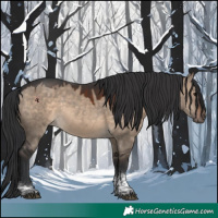 Horse Color:Brown Dun Tobiano