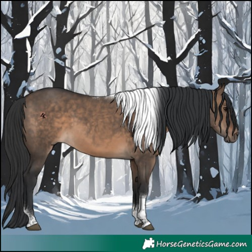 Horse Color:Brown Dun Tobiano 