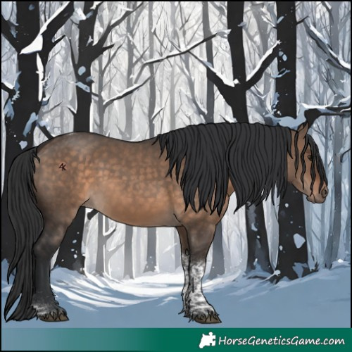 Horse Color:Brown Dun Tobiano 