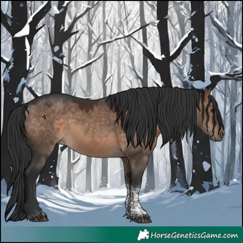 Horse Color:Brown Dun Tobiano 