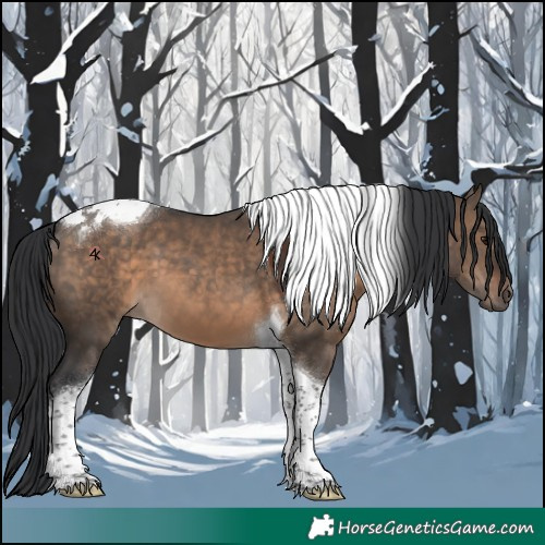 Horse Color:Brown Dun Tobiano 