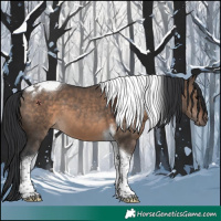 Horse Color:Brown Dun Tobiano