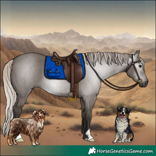 Horse Color:Gray Silver Grullo