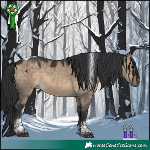 Horse Color:Brown Dun Tobiano 