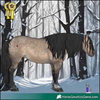 Horse Color:Brown Dun Tobiano 