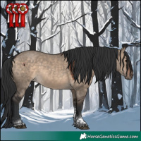 Horse Color:Brown Dun Tobiano 