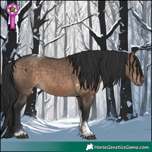 Horse Color:Brown Dun Tobiano 