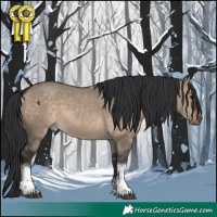 Horse Color:Brown Dun Tobiano 