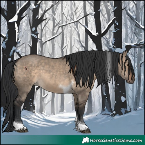 Horse Color:Brown Dun Tobiano 