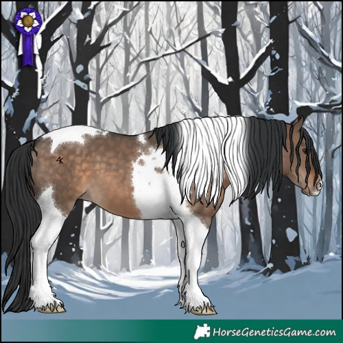Horse Color:Brown Dun Tobiano 