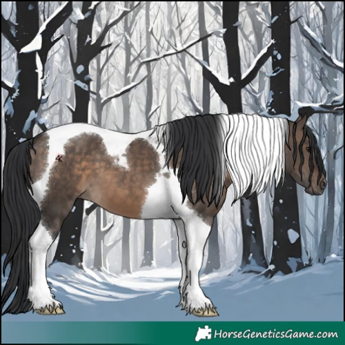 Horse Color:Brown Dun Tobiano 